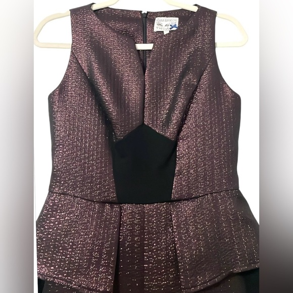 Yoana Baraschi Purple Rain Peplum Cocktail Dress Size 4 Metallic Luxury Designer - Picture 14 of 15